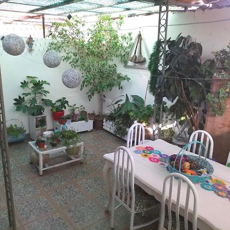 Apartament El Hogar De Canela Talca  Zewnętrze zdjęcie