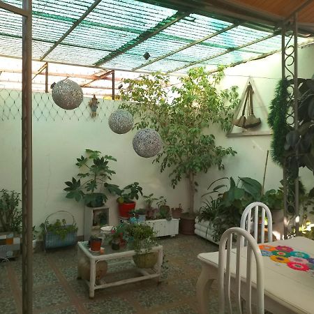 Apartament El Hogar De Canela Talca  Zewnętrze zdjęcie