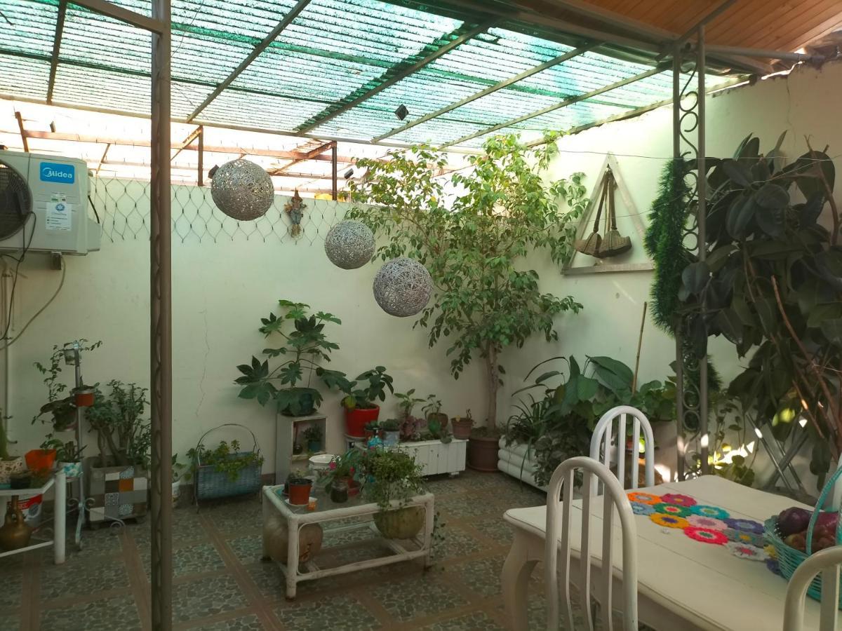 Apartament El Hogar De Canela Talca  Zewnętrze zdjęcie